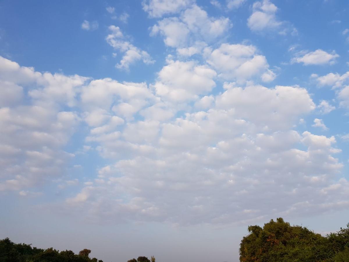 Hiran Holidays Sasan Gir Exterior foto