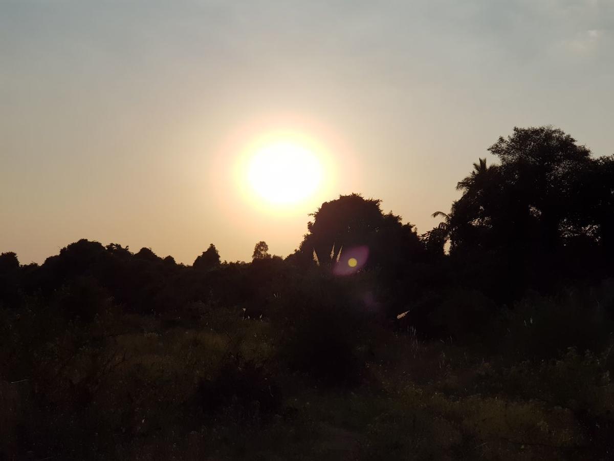 Hiran Holidays Sasan Gir Exterior foto